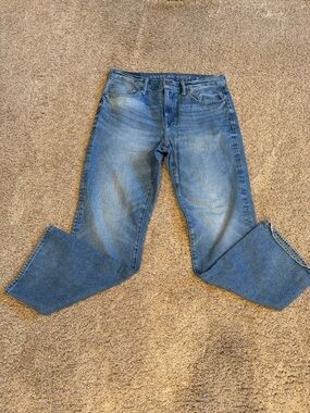American Eagle Outfitters Men's Light Blue Straight Jeans